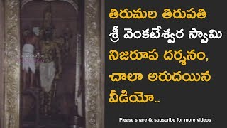 Tirumala Venkateswara Swamy Temple abhishekam real video [upl. by Glynda]