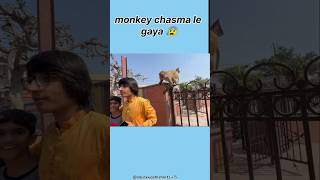 Sourav Joshi ka chasma monkey le gaya 😰 souravjoshivlogs souravjoshishorts monkey thuglife [upl. by Lorak]