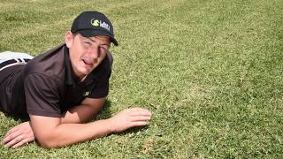 How to remove invading grass varieties from your lawn [upl. by Etnaid923]