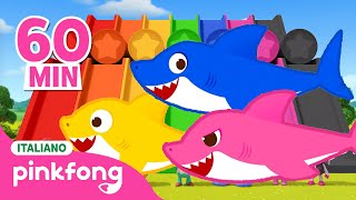 Imparare i colori in inglese🌈   Compilazione｜Pinkfong Bimbo Squalo Canzoni per Bambini [upl. by Sucramd469]