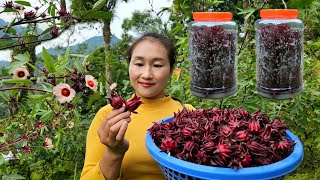 Harvesting artichokes for sale at the market  Preserving artichokes year round  Ly Thi Tam [upl. by Gui]