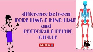 DIFFERENTIATES OF APPENDICULAR SKELETON 🦴🐾 [upl. by Azerila]