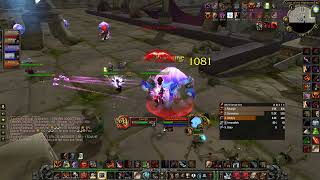 WoW Classic SoD level 60 fury warrior pve Dire Maul West 4 [upl. by Barty]