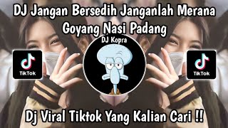 DJ JANGAN BERSEDIH JANGANLAH MERANA HANYA GARA GARA DIPUTUSKAN CINTA  LG VIRAL FYP TIKTOK 2024 [upl. by Pavlov]