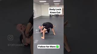 Top 5 BJJ NoGi Passes Every Beginner Should Know jiujtsu mma martialarts [upl. by Tezzil]