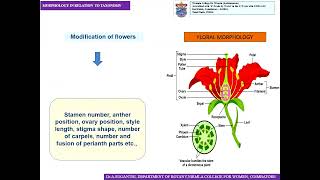 Morphology in relation to Taxonomy  DrA Suganthi  BOTANY [upl. by Dranyar]