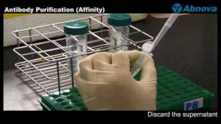 Antibody Purification Affinity [upl. by Sunny929]