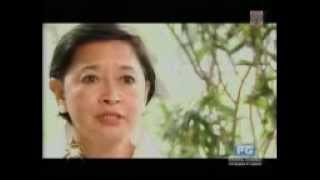 The Discovered Mansion Of Gov Josephine quotNenequot Ramirez Sato Part 2MP4 [upl. by Korenblat]