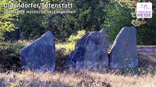 Oldendorfer Totenstatt Mystische Gräber und Heide bei Amelinghausen Lüneburger Heide [upl. by Pfeifer977]