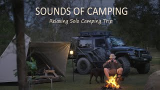 Solo Camping in the Australian Bush with my Dog  Steak on campfire Car Jeep Wrangler  SoC ep19 [upl. by Aicnerolf178]