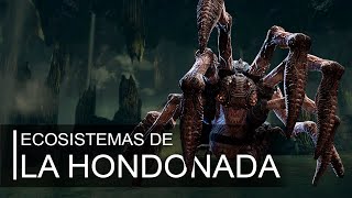 Ecosistemas Subterráneos de la Hondonada  Gears of war [upl. by Aneej]