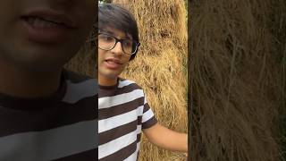 Amma ko Ghas ke badle mila Gee  sourabhjoshinewvlog shortfeed viralvideo newvlog [upl. by Ahsykal405]