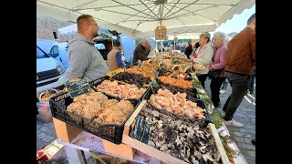 Foire aux champignons 2024 à SaintBonnetleFroid [upl. by Anaujik]