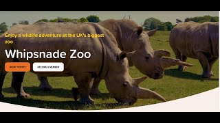 ZSL Whipsnade Zoo  Part 1 One of Europes largest wildlife conservation parks covering 600 acres [upl. by Zins]