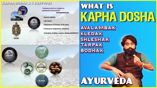 Kapha Dosha Made Simple  Easy Ayurveda Animations [upl. by Engenia]