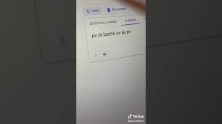 Google Translate remix TikTok [upl. by Yram]