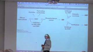 Nucleotide Metabolism II [upl. by Andrel]