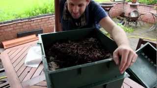 Wormcity Wormery Review  My composting little friends [upl. by Also]