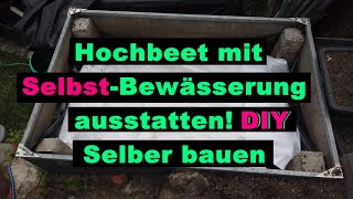 Bewässerung für Hochbeet selber bauen Selbstbewässerung spart Wasser und Nährstoffe Rückgewinnung [upl. by Kinemod]