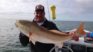 Captiva Fishing Redfish [upl. by Windzer]