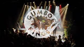 Gumbo Kings  Album Release Live at Patronaat Haarlem [upl. by Sutphin]