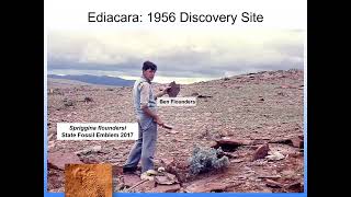 Jim Gehling Palaeoecology and Environments of the Ediacara Biota Record in the Flinders Ranges [upl. by Calista]