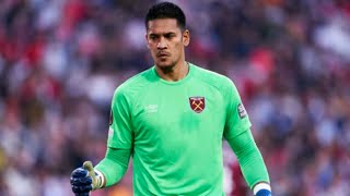 Alphonse Areola • Best Saves  West Ham  HD [upl. by Ayaros]