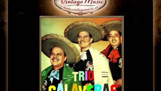 Trio Calaveras  El Hijo Desobediente Corrido VintageMusices [upl. by Ik]