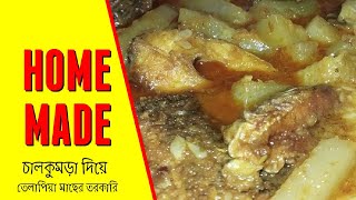 Tilapia fish recipe  Chal kumro recipe  Chalkumra diye telapiya macher ranna  Tilapia Fish Curry [upl. by Caresse722]