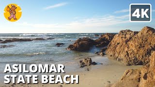 Asilomar State Beach Walking Tour  4k 🔊 Binaural Sound [upl. by Ninnetta]