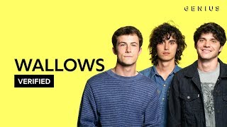 Wallows quotAre You Bored Yetquot Official Lyrics amp Meaning  Verified [upl. by Waynant]