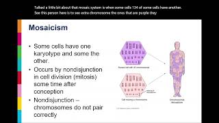 Karyotypes Explained [upl. by Delaney418]