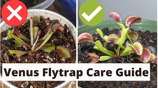 The Complete Venus Fly Trap Care Guide 🌱 [upl. by Chrisoula]