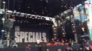 The Specials  Rat Race El plaza condesa  Vive latino [upl. by Nrehtac379]