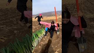 Amazing Farming Tools for Rural Farmer Essential Agricultural Tool 👍👍 shorts satisfying [upl. by Palecek594]