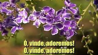 Hinário Adventista 048  Ó Vinde Adoremos [upl. by Yldarb]