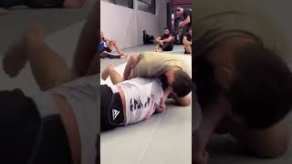 Khamzat Chimaev vs Luke Rockhold grappling [upl. by Hsirk149]