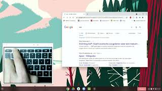 Toetsenbord functies in Chromebook [upl. by Ayikin]