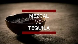 Mezcal vs Tequila Principales Diferencias ¡ Conócelas [upl. by Puklich]