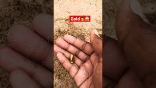 Gold huntshorts trending viralshort metaldetecting [upl. by Relluf]