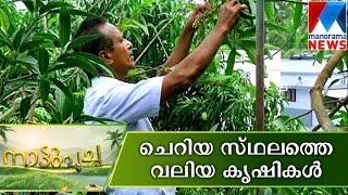 Farming in five cent land  Nattupacha  Manorama News [upl. by Jahn]