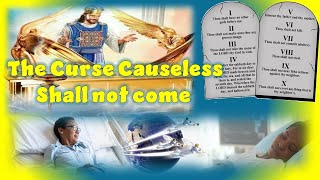 Br Arlexis Meriana The curse Causeless shall not come February 10 2024 [upl. by Enetsuj253]