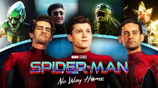 Spiderman No Way Home Explained  Detailed Recap of Spiderman NWH [upl. by Eutnoj]