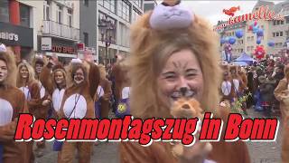 Rathaussturm und Rosenmontagszug live auf kamellede [upl. by Vic]