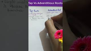 Difference between Tap Root and Adventitious Root Tap Root VS Adventitious Root biology botany [upl. by Alejandra]