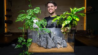 Definitive Guide to Growing Houseplants in an Aquarium [upl. by Korb]