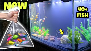 New 3 Feet Fish Tank Setup amp Adding Fish  Aquarium Decoration [upl. by Amahcen273]