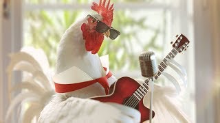 Rooster on the Guitar  3D Render [upl. by Adikam]