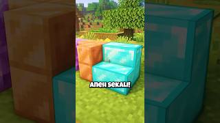 Block Paling ILLEGAL Di Minecraft [upl. by Enyale]