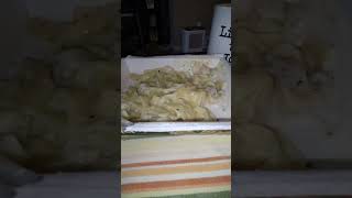 Eating Michelinas Fettuccine Alfredo With Chicken amp Broccoli Dbn MI 10124 [upl. by Ahtiek144]